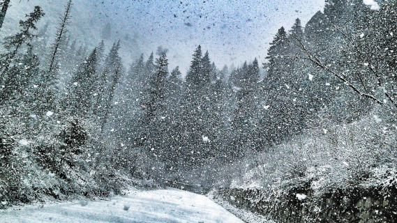snowfalls