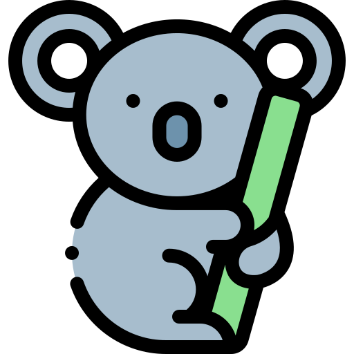 international koala day