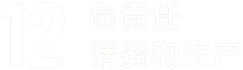 sdg 12