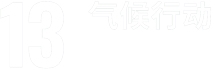 sdg 13