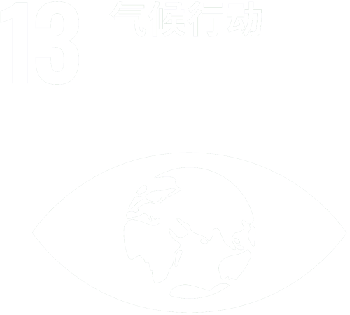 sdg 13