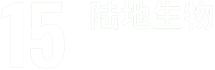 sdg 15