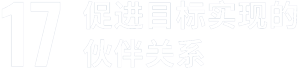 sdg 17