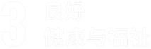 sdg 3
