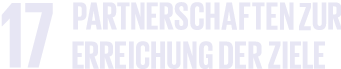 sdg 17 partner schaften zur erreichung der ziele