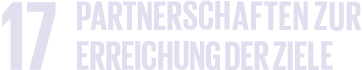 sdg 17 partner schaften zur erreichung der ziele