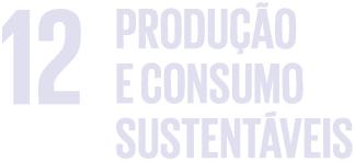 sdg 12 producao e consumo sustentaveis