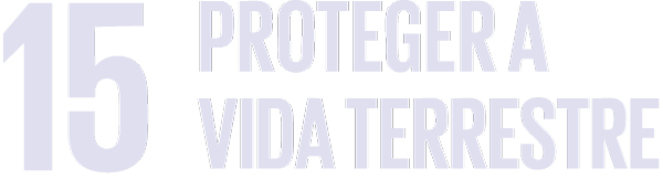 proteger a vida terrestre sdg 15