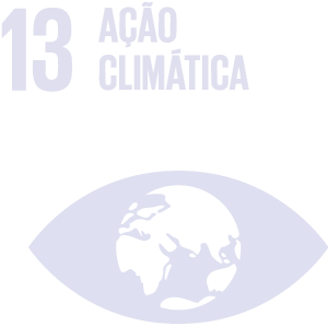sdg 13 acao climatica
