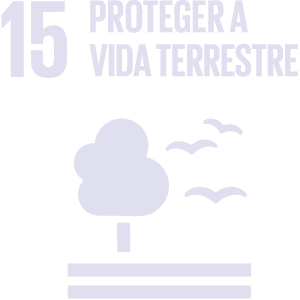 sdg 15 proteger a vida terrestre