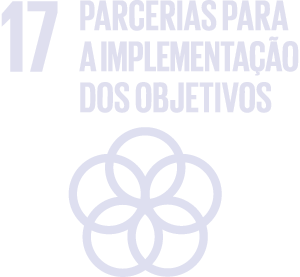 sdg 17 parcerias para a implementacao dos objetivos