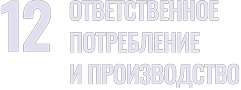 sdg 12