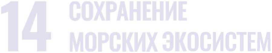 sdg 14