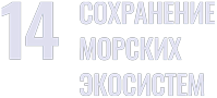 sdg 14