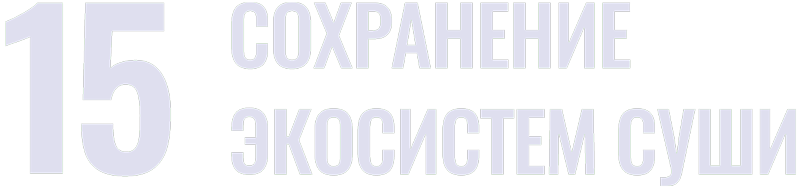sdg 15
