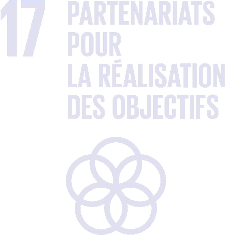 sdg 17 partenariats