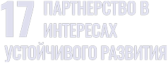 sdg 17