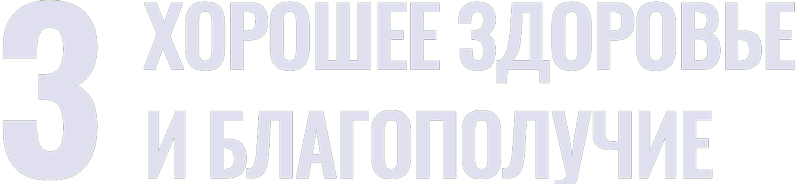 sdg 3