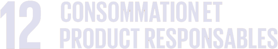 sdg 12 consommation responsable